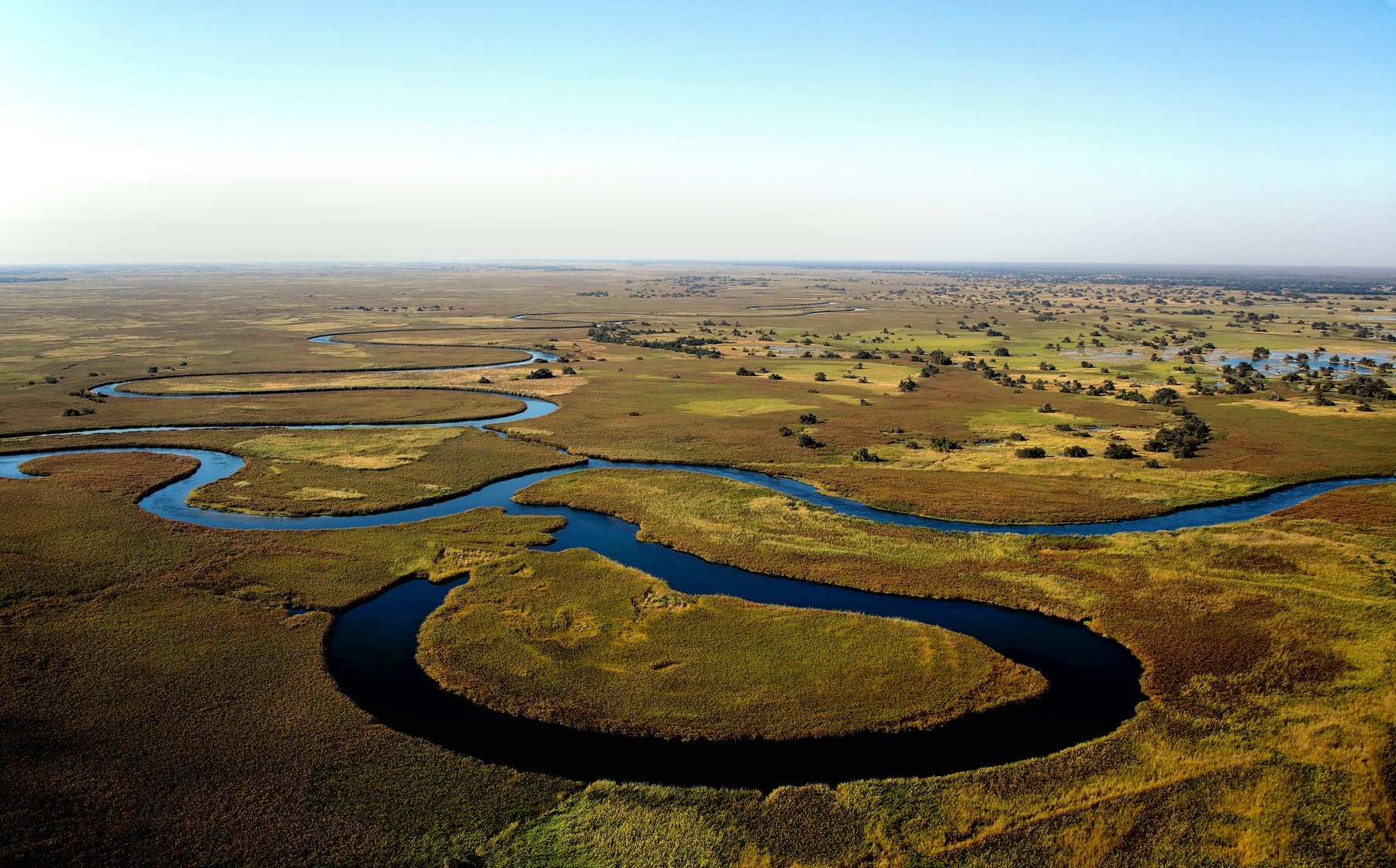 Safari in Botswana