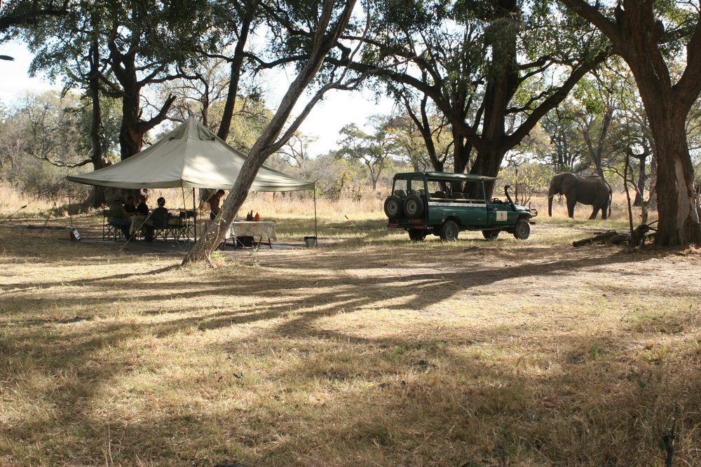 Mobile Safaris