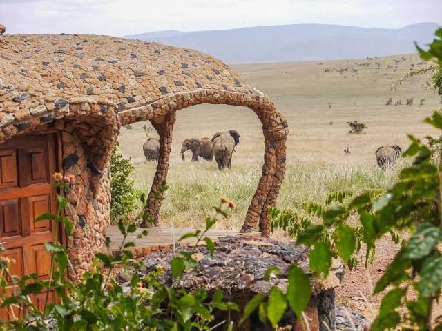 Lewa House